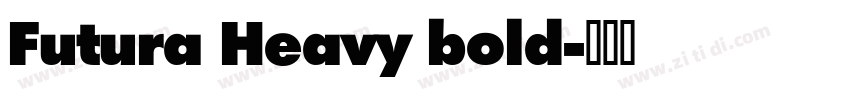 Futura Heavy bold字体转换